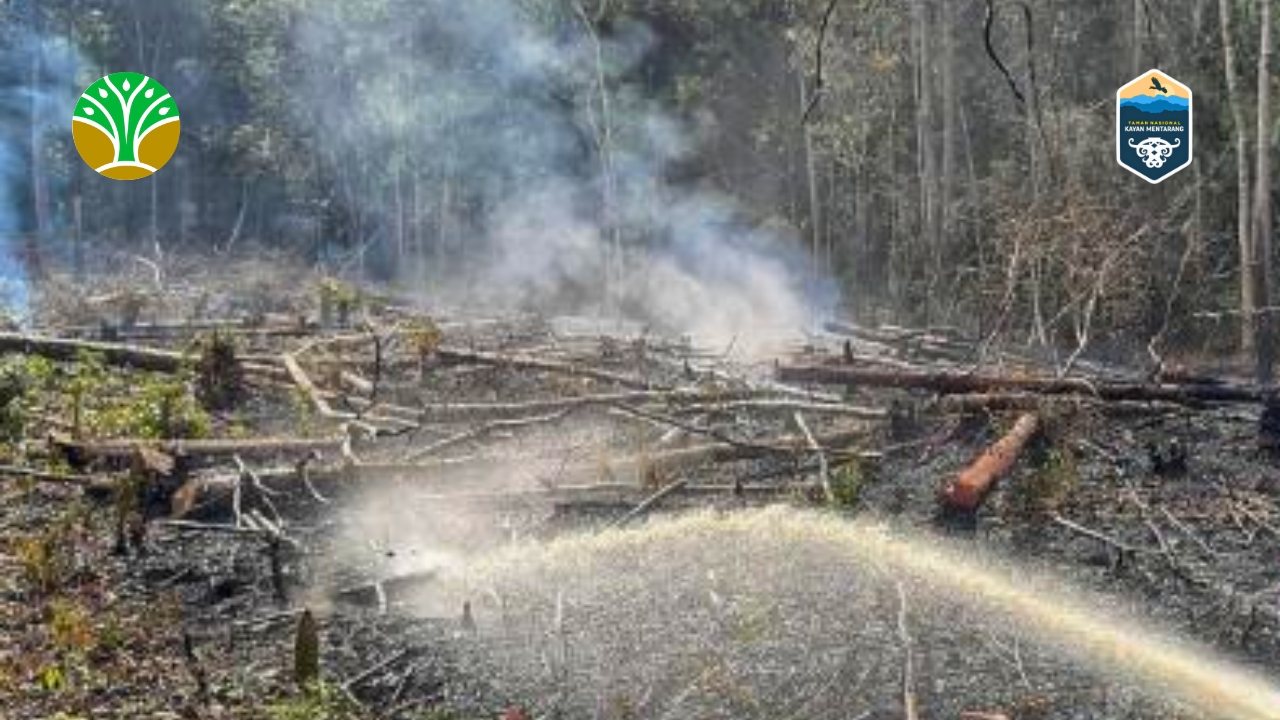 Pencegahan dan Pengendalian Karhutla Taman Nasional Kayan Mentarang