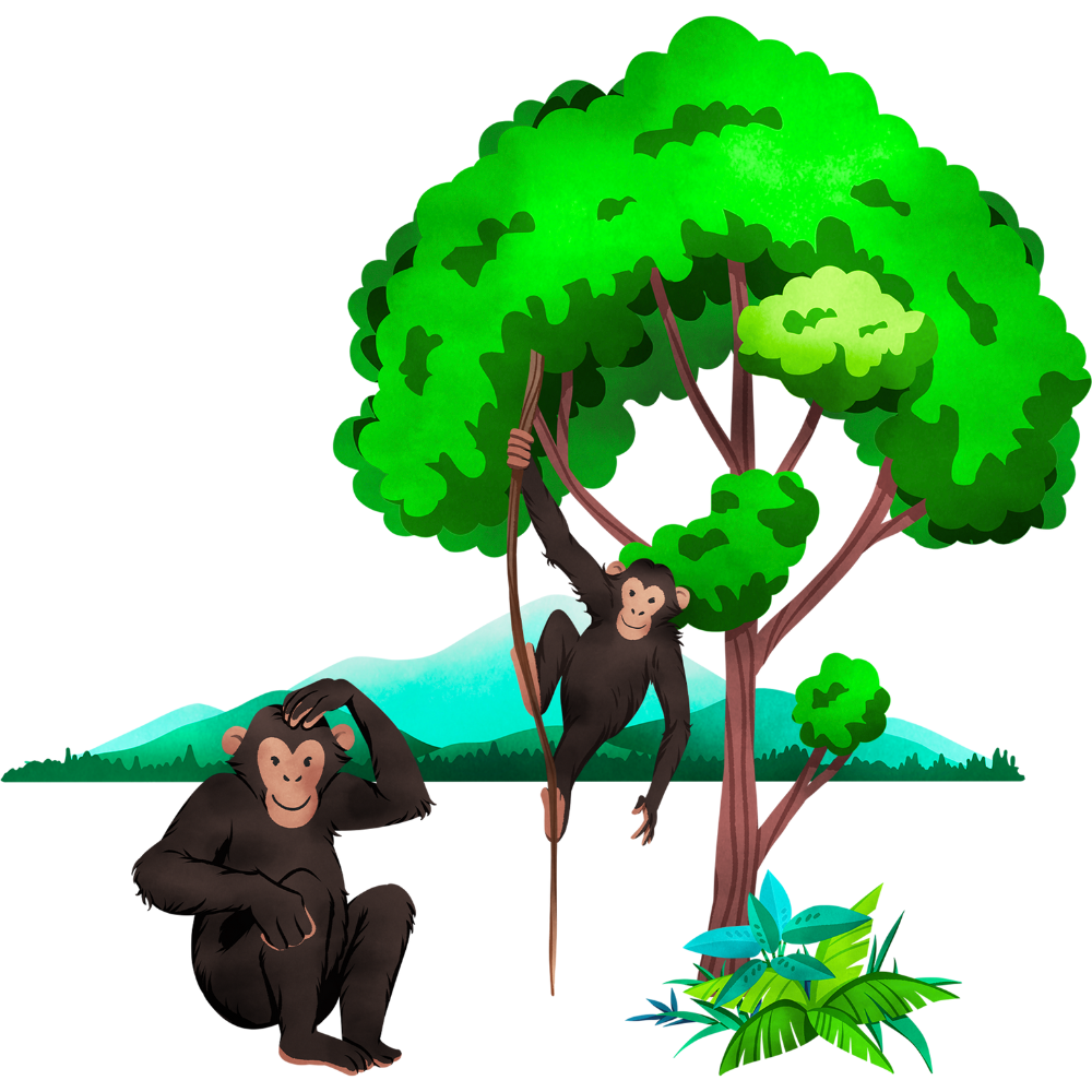 Perlindungan Ekosistem Hutan Primer