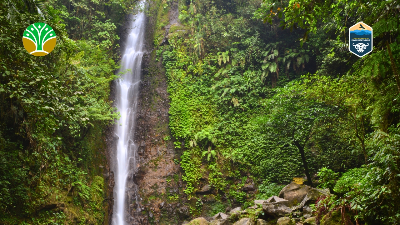 Taman Nasional Gunung Halimun Salak